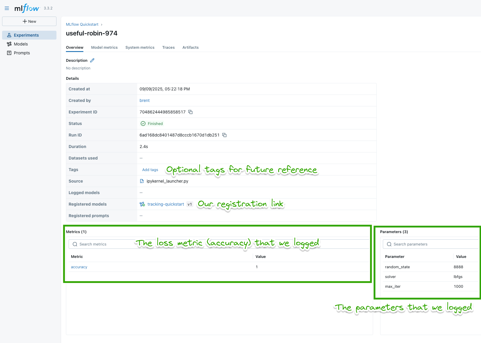 MLflow UI Run view page